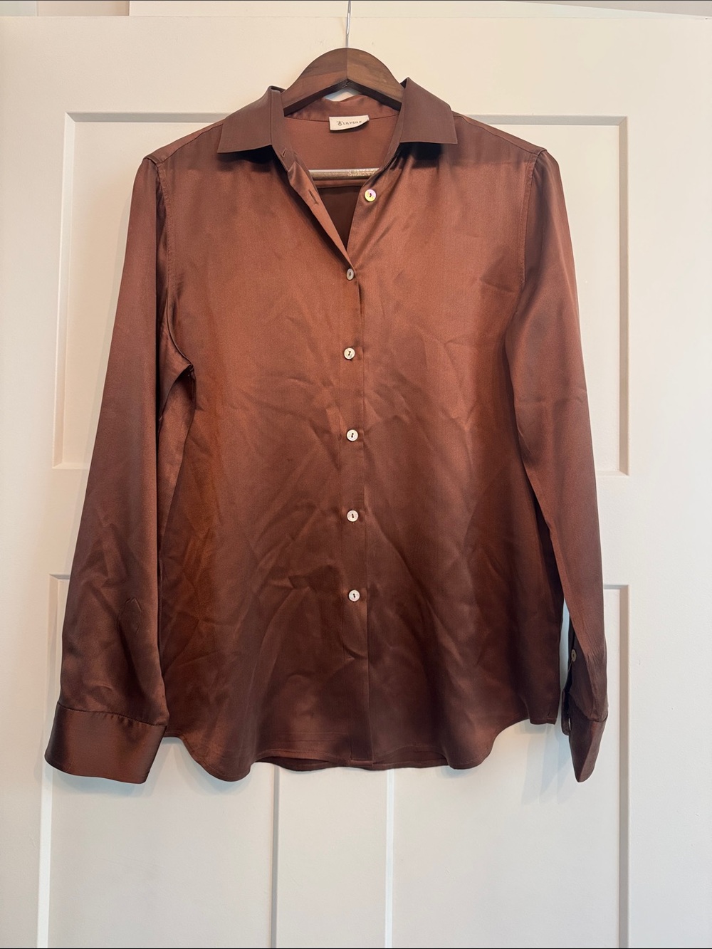 Lily silk Woman’s  Brown Button-Up Shirt